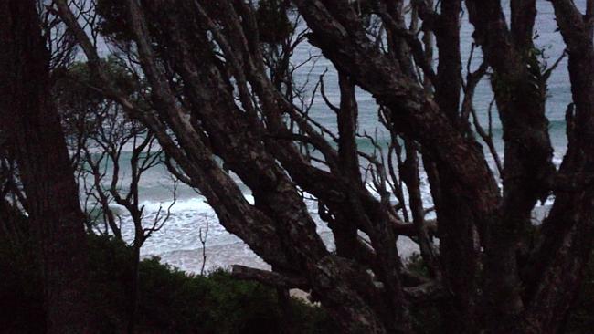 A group of campers claims to have seen a strange apparition at Jenny Dixon Beach.