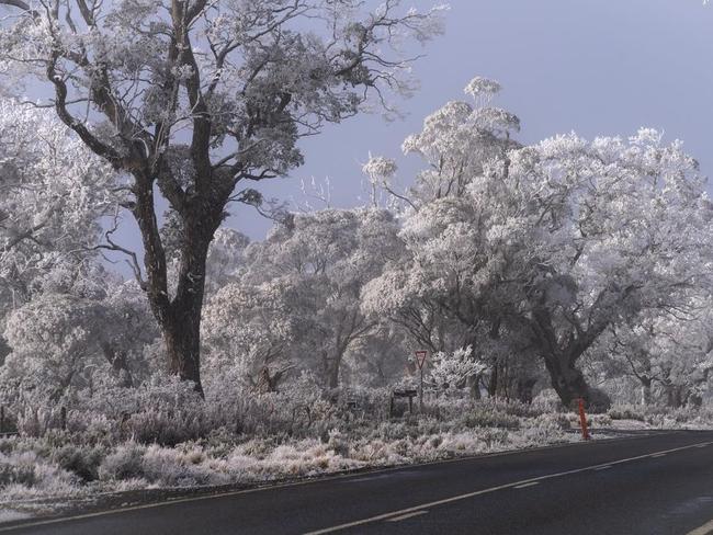 Stunning images of a wintry Central Highlands. Image: Gill Dayton/ Tassie Apple Spice photography.