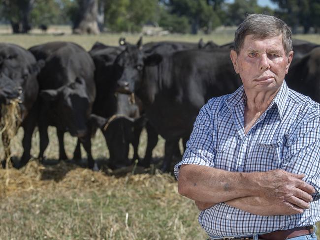 Livestock: Ross Davis and cattleRoss Davis, 74, near Benalla. Ross is selling 600 cows or all his autumn calving herd as he is stepping back a bit from a big workload at 74. PICTURED:  Ross Davis and cattlePICTURE: ZOE PHILLIPS