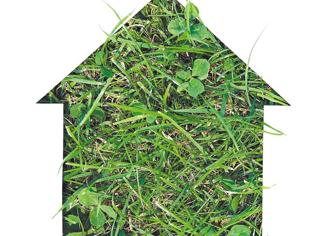 B+S_7.04.2019_Green Housing - Cutout of a house on a grass background