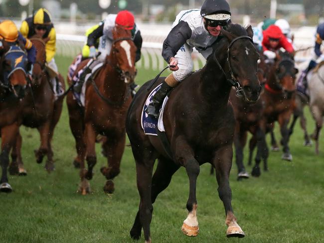 Luke Nolen and So Si Bon taker out last year’s Aurie's Star Handicap.