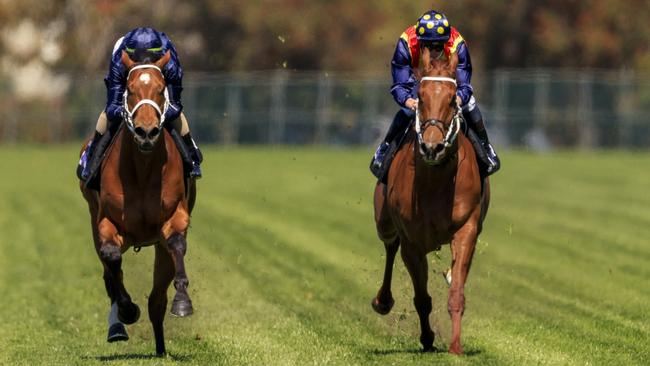 Home Affairs (left) held on to beat Nature Strip in their exhibition gallop at Rosehill on Wednesday. Picture: Getty Images