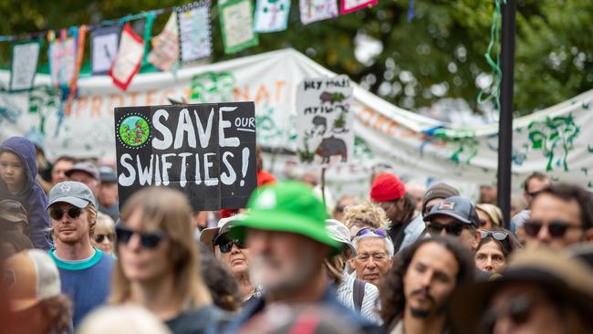 March in March protests in Hobart on Sunday 23rd March 2025 Picture: Linda Higginson