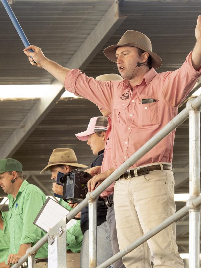 Auctioneer Anthony Delaney takes the bids at Yea cattle sale. Picture: Zoe Phillips