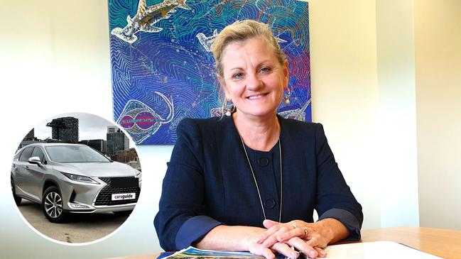 Redland Mayor Karen Williams pleaded guilty to drink driving when she crashed a luxury council-owned Lexus hybrid in June last year.