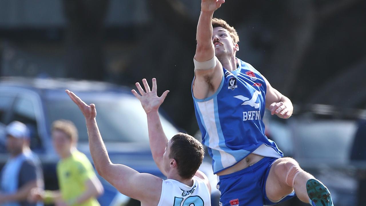 Luke Davis rucks against Geelong Amateur.