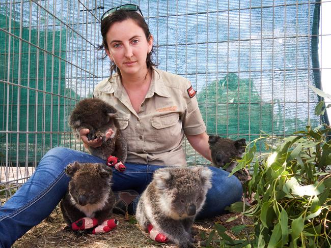 Dana Mitchell with rescued Joeys suffering from burns to their paws at Kangaroo Island Wildlife Park in Parndana on Sunday. Picture: Matt Loxton