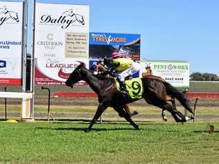 MAKING STRIDES: Avasa, trained by Jackie Crompton, won race two, the Class B Handicap over 1000m, at Saturday's Christmas Races. Picture: Shannon Hardy