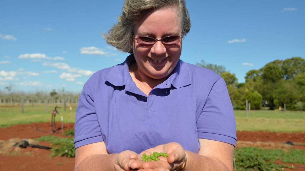 Mandy Evans with her newly picked capers. Picture: Louise Cheer