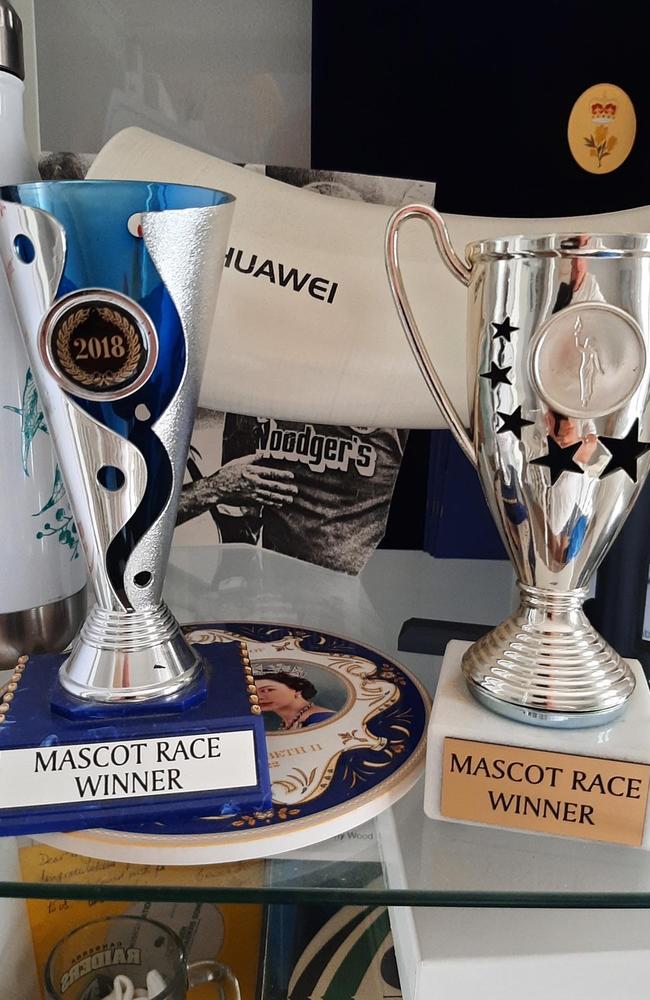 Victor the Viking's trophy cabinet.