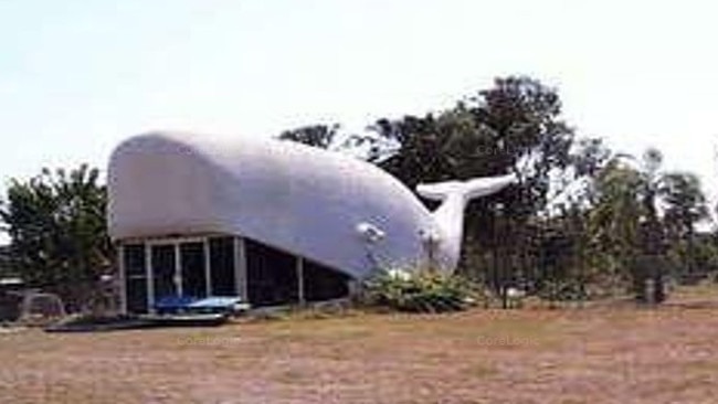 The iconic whale building at Kinka Beach was once the Coral Marine Life museum before it closed more than 20 years ago.