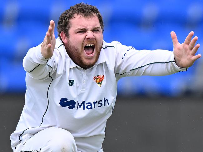 HOBART, AUSTRALIA - OCTOBER 26: Jarrod Freeman of the Tigers appeals during the Sheffield Shield match between Tasmania and Queensland at Blundstone Arena, on October 26, 2023, in Hobart, Australia. (Photo by Steve Bell/Getty Images)