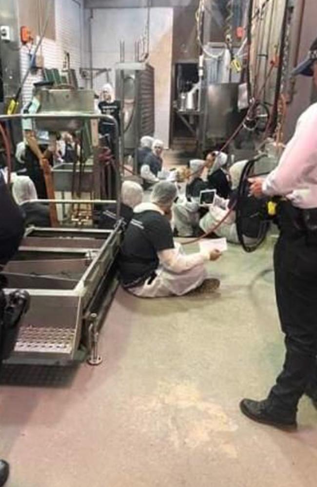 These vegan activists chained to equipment at the Carey Bros abattoir are braver than me - I couldn’t face going to an abattoir. But the confrontational nature of the protest has not worked in the favour of animal rights.