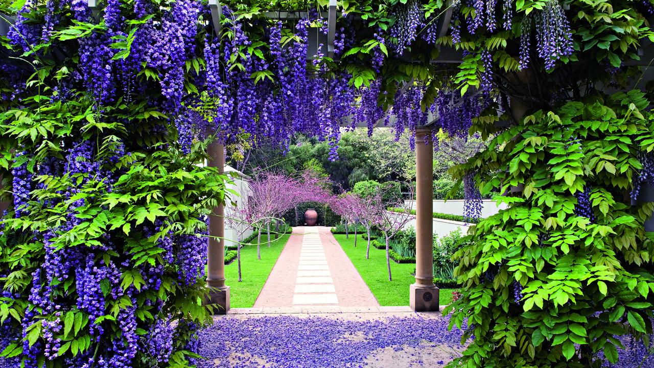 Enjoying the music on the deck - Picture of Wisteria Farm and