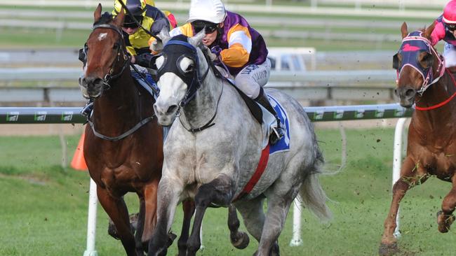 Steel Zip (grey horse). Picture: Grant Peters, Trackside Photography