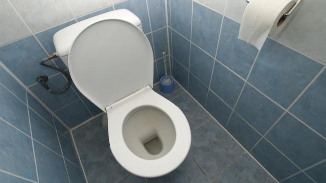 Pregnant woman fired for taking ‘too many’ toilet breaks | news.com.au ...