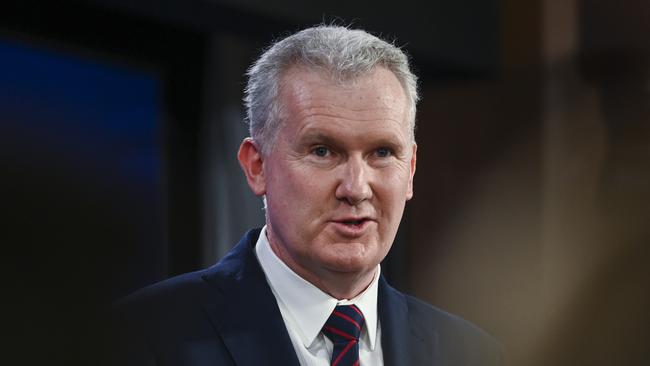 Workplace Relations Minister Tony Burke said fines were a deterrent, ensuring employers and businesses did ‘everything in their power to keep workers safe’. Picture: NCA NewsWire / Martin Ollman