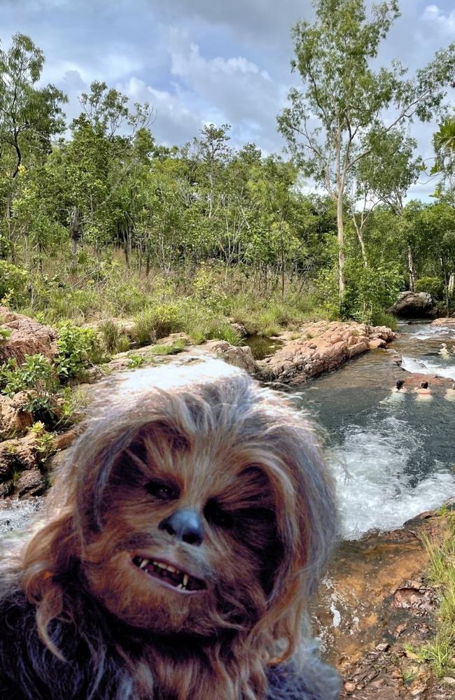 Wookiee-like noises have been heard around Litchfield, perhaps Chewbacca is taking a stroll around the park. Picture: NT News