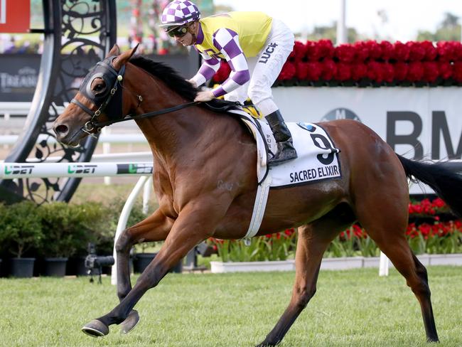 Sacred Elixir and jockey Zac Purton combine to win the JJ Atkins. Picture: Jono Searle