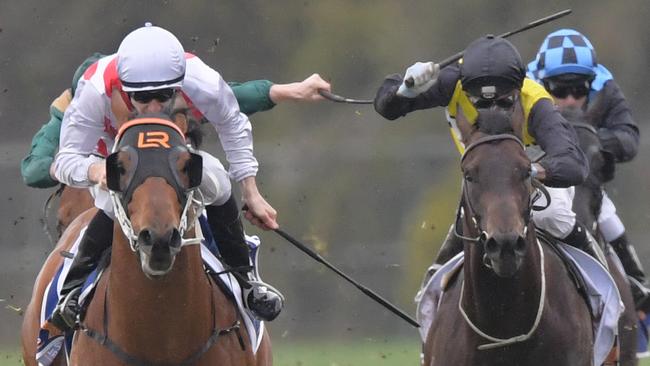 Graff (left) has won three of his four starts. Picture: AAP