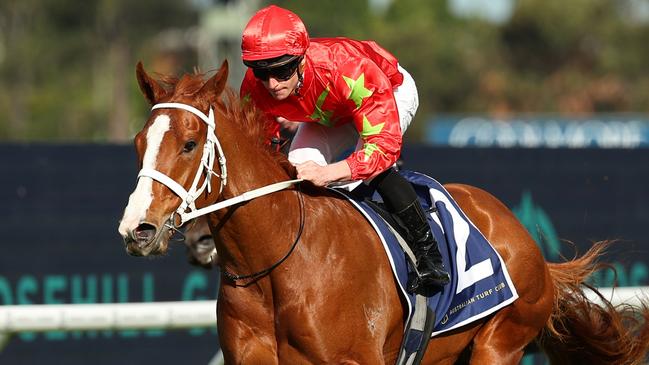 Gatsby’s will be out to give Chris Waller a third win in the San Dominico Stakes on Saturday. Picture: Jeremy Ng/Getty Images