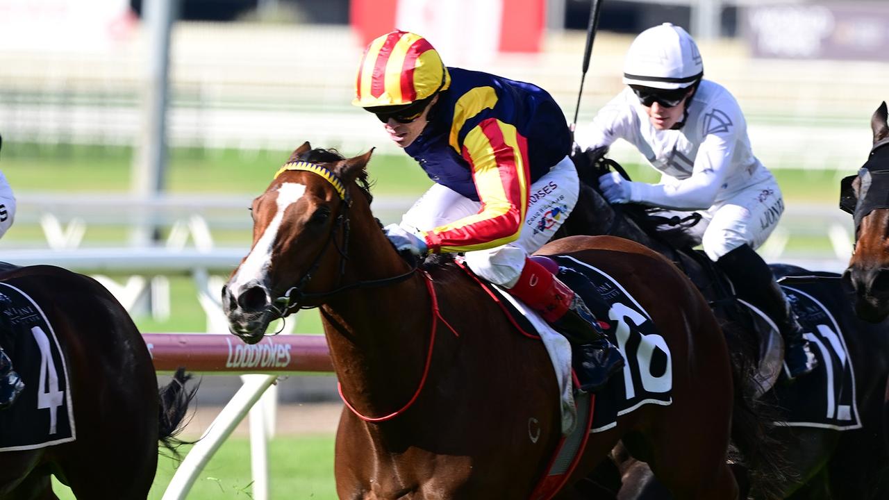 $8000 filly who ‘walks like a duck’ spices up Stradbroke field
