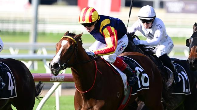Three-year-old filly Spicy Martini, trained by Toby Edmonds (pictured) and Stephen McLean and ridden by Craig Williams, qualifies for the Stradbroke Handicap by winning the Fred Best Classic at Doomben on Wednesday. Picture: Grant Peters, Trackside Photography.,