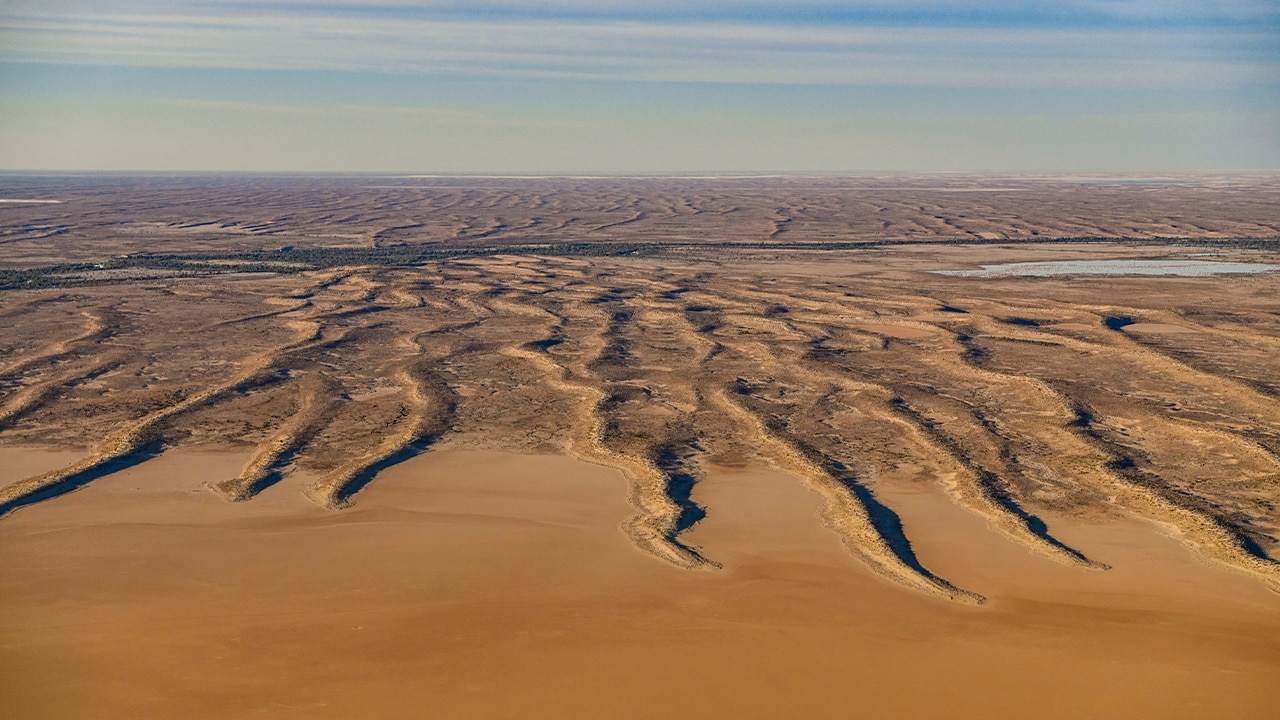 <p>In early 2024 the Diamantina River was 7m deep as it passed south through Birdsville before emptying into other waterways and eventually the Warburton River, which drains into the Lake Eyre Basin. It was hard to believe that in a few short months of unrelenting evaporation, the sea we were looking down on would no longer be there. To the north and west of the lake is the Simpson Desert. A daunting prospect if on the ground, from above it becomes an abstract wonderland containing the world&rsquo;s longest parallel sand dunes and veins of green &ndash; vegetation which, like the water, spreads like tendrils across a dry land.</p>