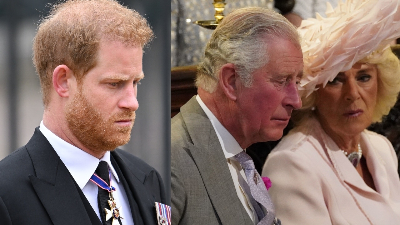 Royal expert claims Prince Harry suggested using a ‘mediator’ to heal ...