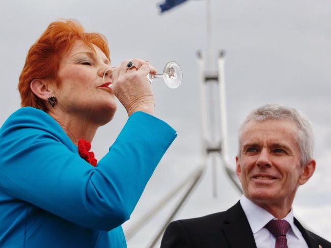 Pauline Hanson toasts Donald Trump to victory. Picture: ABC/Twitter