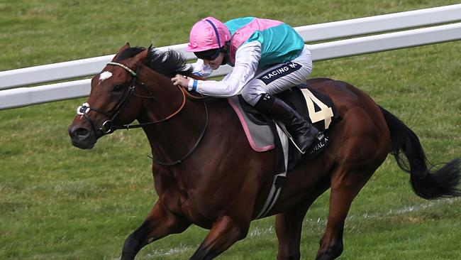 Grafton-bound Special Master is bred on the same cross as the great Frankel.