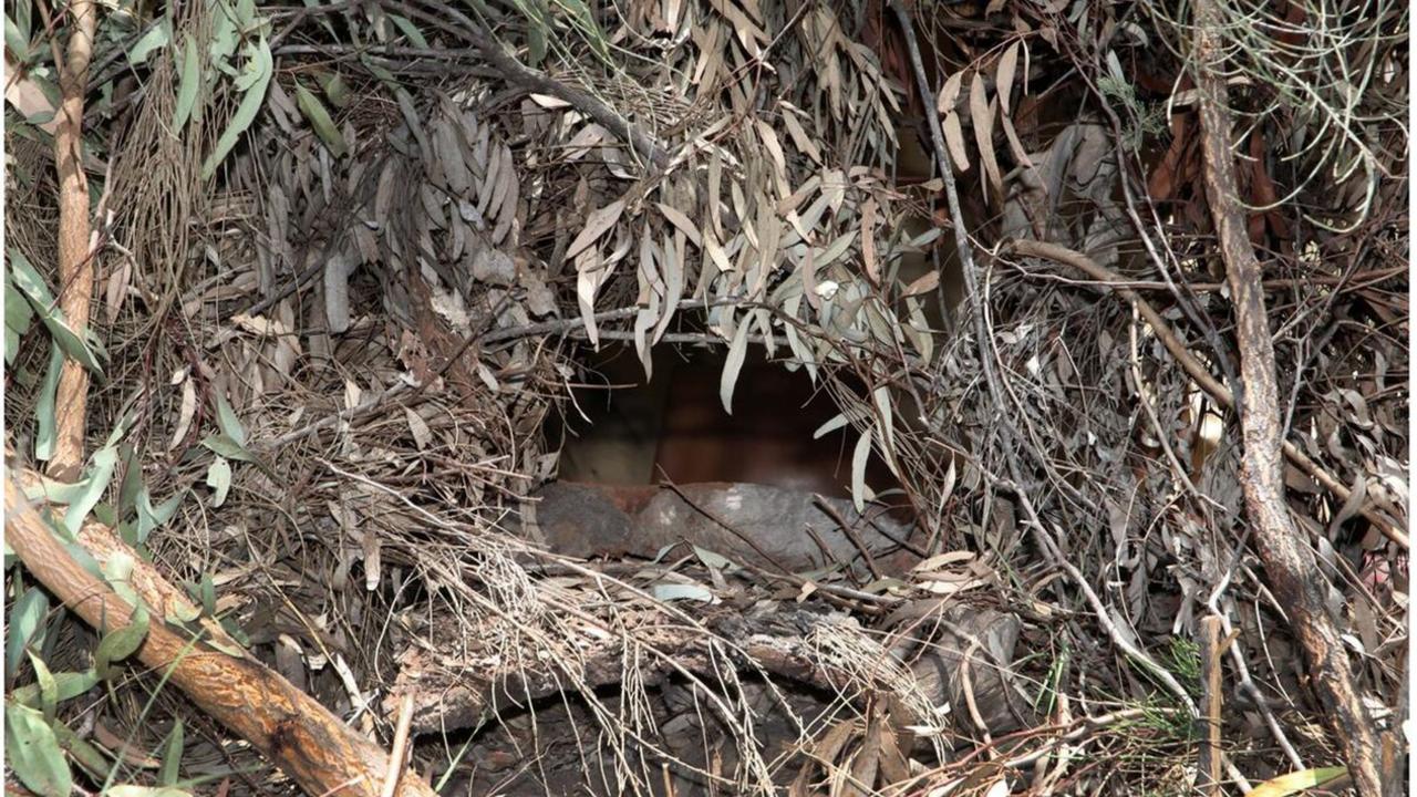 A sniper hide covered in branches and leaves with a small opening towards the front gate of the Train property.
