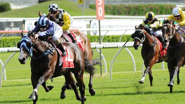Randwick races