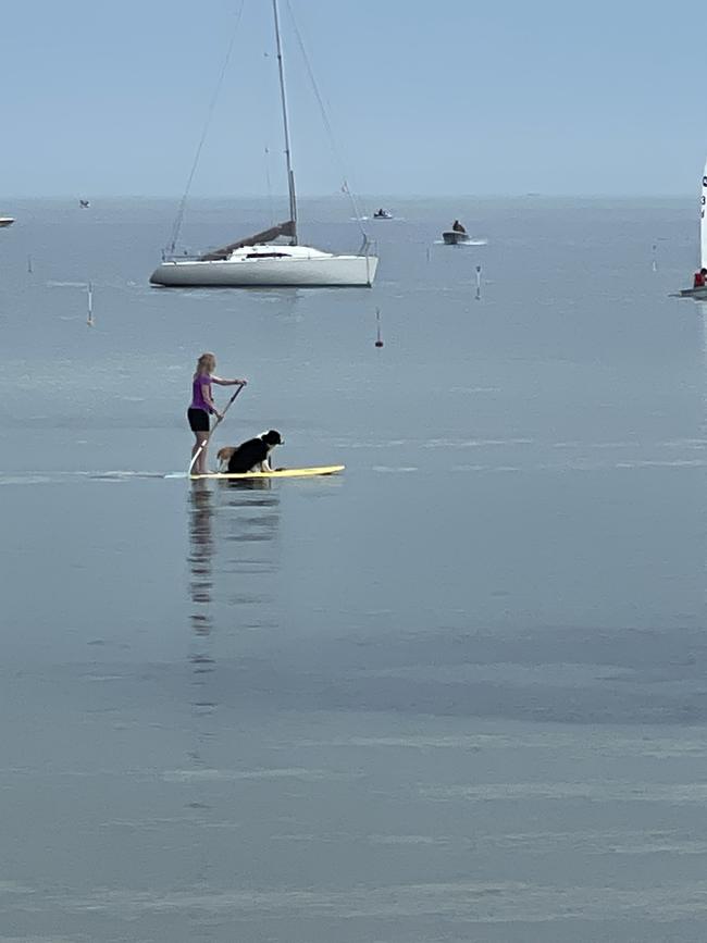 Paddleboarding in Calm Bay at the Blairgowrie Yacht Club. Picture: Sue Williams, Blairgowrie.