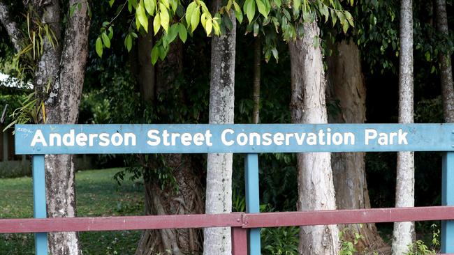 A new home for thousands of flying foxes. PICTURE: STEWART McLEAN