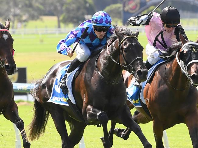 The Muffin Man ridden by Ethan Brown wins the Sportsbet Racing Form Plate at Sportsbet Sandown Hillside Racecourse on March 19, 2025 in Springvale, Australia. (Photo by Brett Holburt/Racing Photos via Getty Images)