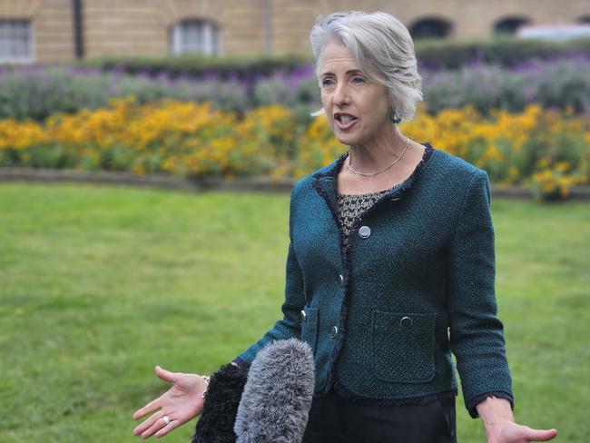 Greens leader Rosalie Woodruff says the incident is a “stain” on the government.