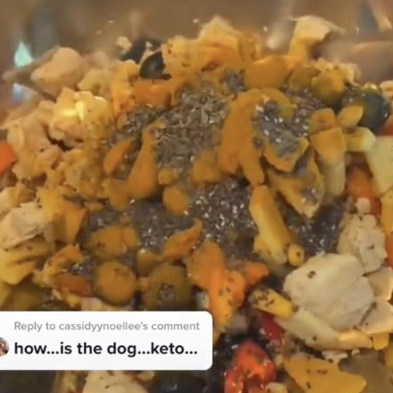 She also revealed that she feeds both her dogs keto food. Picture: @houseofketo/TikTok