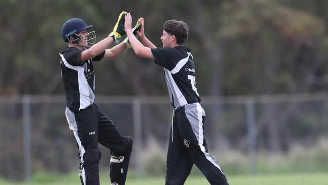 Charlestown celebrate a wicket. Charlestown v Newcastle City, SG Moore Cup round one at Kahibah Oval. Picture: Sue Graham