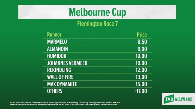 TAB market update for the Melbourne Cup