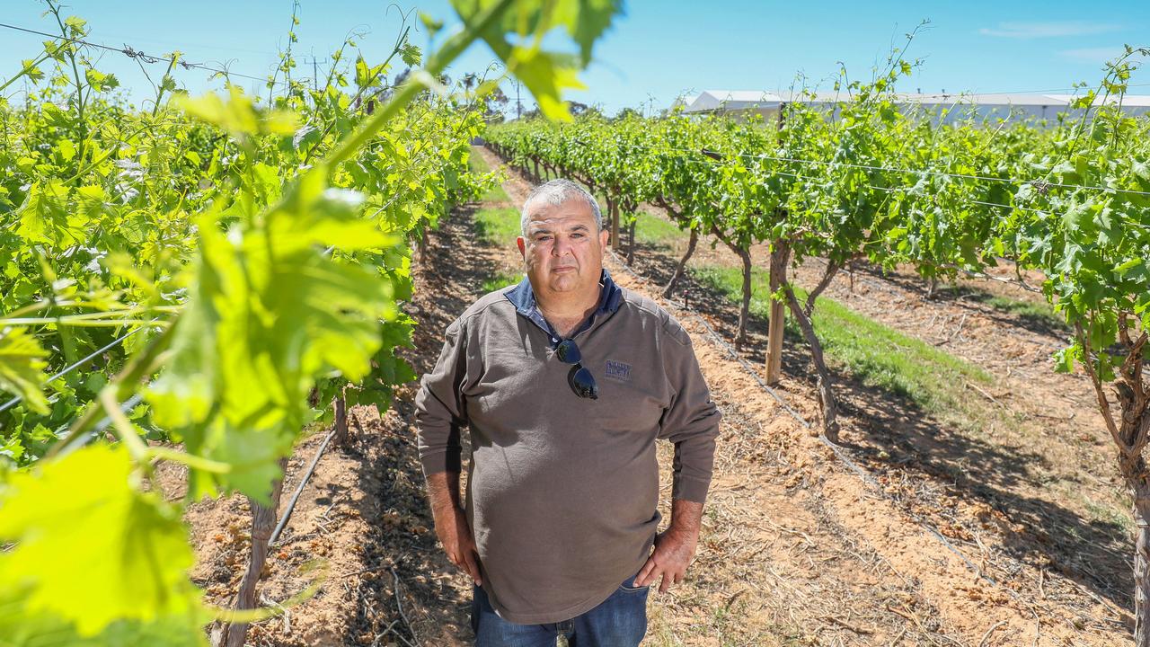 Price of water soars as farmers buy in panic | The Australian