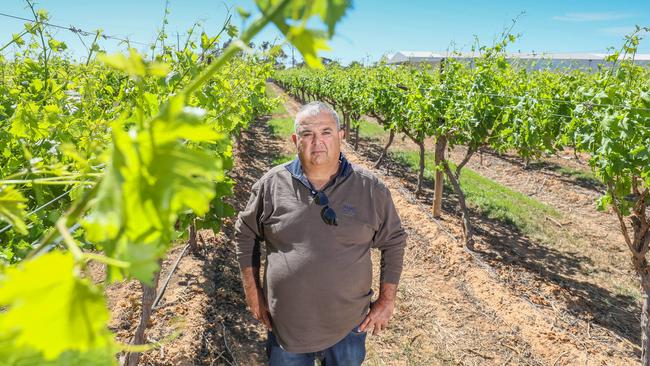 Australian Table Grape Growers Association chairman John Argiro, a third-generation grower, on his property near Mildura. Picture: Darren Seiler.