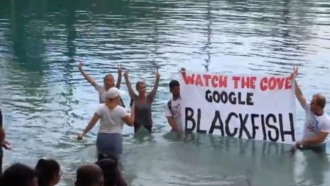 Protesters at Sea World in the pool when the dolphin show was about to start.