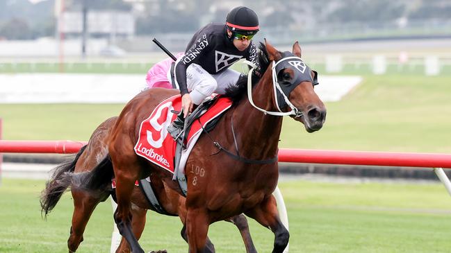 Aravene looks a good each-way chance in race 7 at Rosehill. Picture: Getty Images