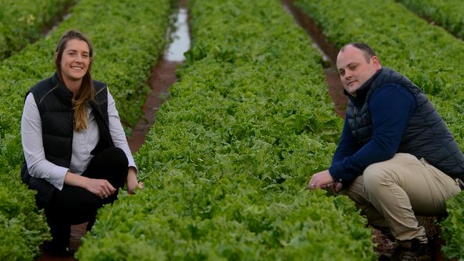 AusVeg SA deputy chairwoman Renee Pye with AusVeg SA chief executive Jordan Brooke-Barnett, who has raised concerns about a shortage in the horticulture industry’s workforce. Picture: Sam Wundke