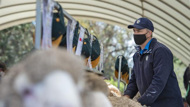 Banavie Merinos stud principal Tim Polkinghorne stud principal at the 2020 Charinga ram sale. Picture: Zoe Phillips