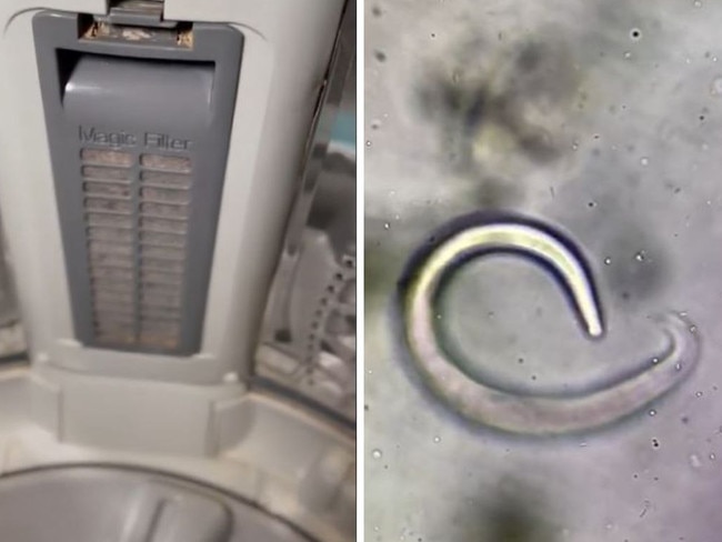 ‘Chilling’ find in man’s washing machine