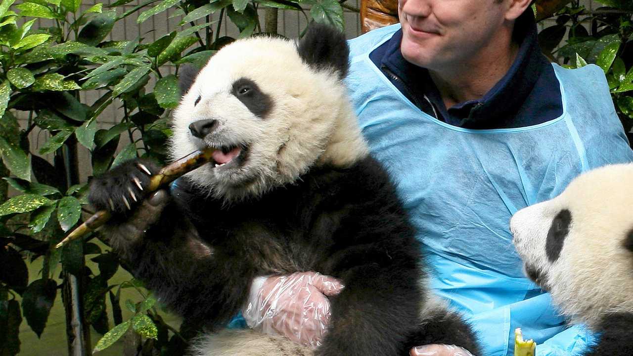 WWF's Dermot O'Gorman. Picture: Contributed