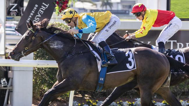 Diamond Thunder is an attractive bet i the Brian Crowley Stakes. Picture: AAP