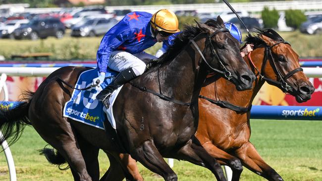 Queman winning the Oakleigh Plate at Caulfield. Picture: Reg Ryan/Racing Photos